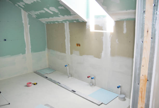 Best Industrial Mold Remediation  in Waterloo, WI
