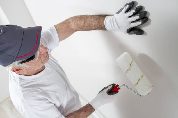 Best Black Mold Removal  in Waterloo, WI