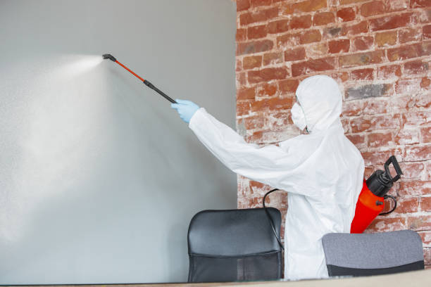 Best Emergency Mold Remediation  in Waterloo, WI