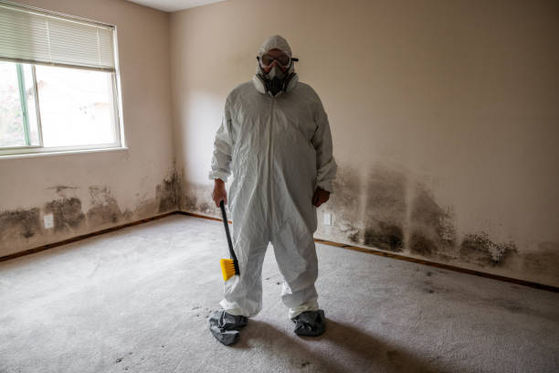 Best Biohazard Mold Removal  in Waterloo, WI